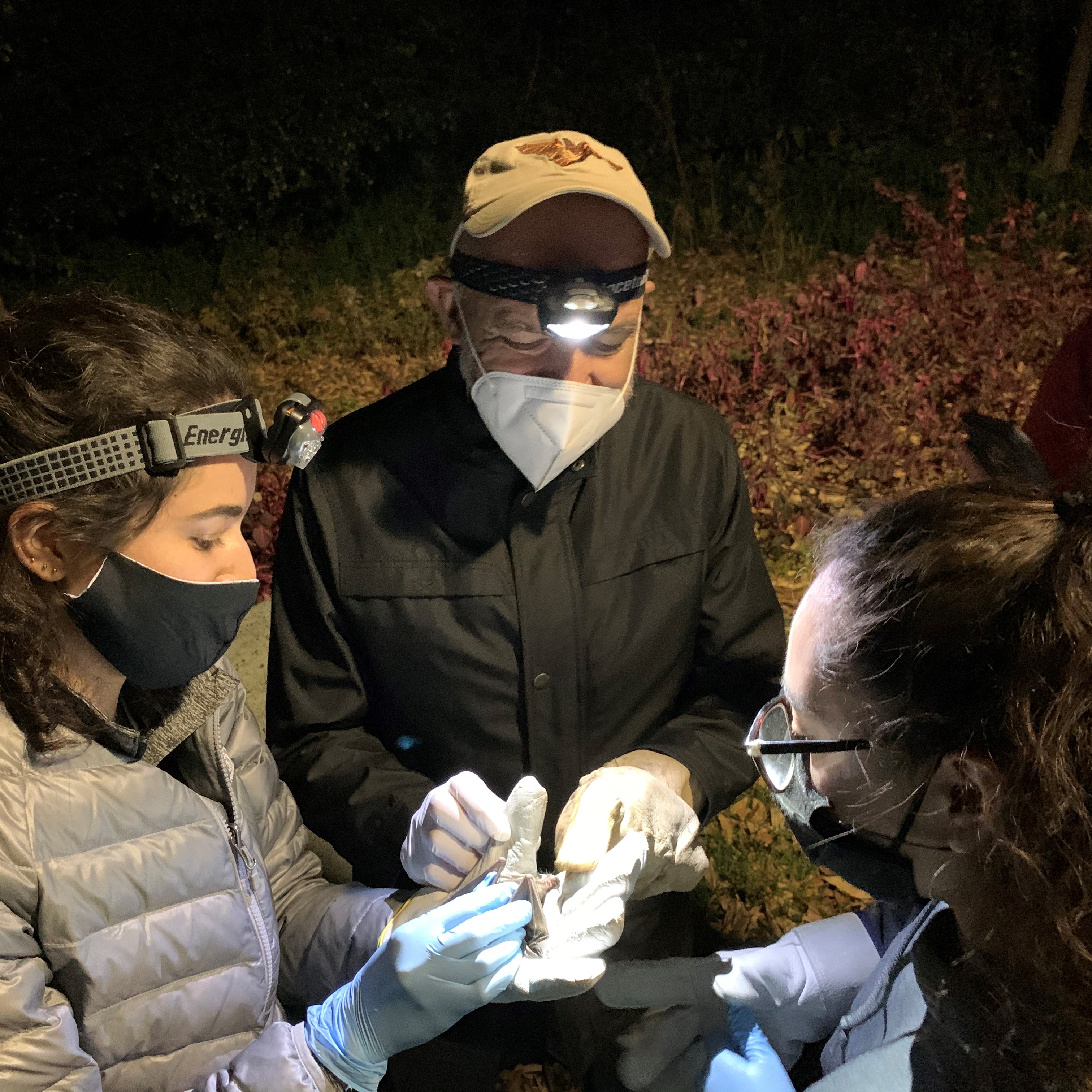 Investigación