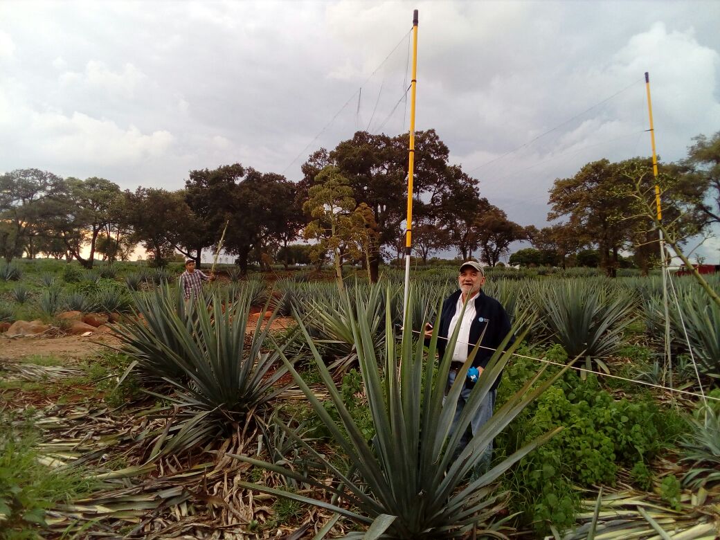 Imagen del Proyecto