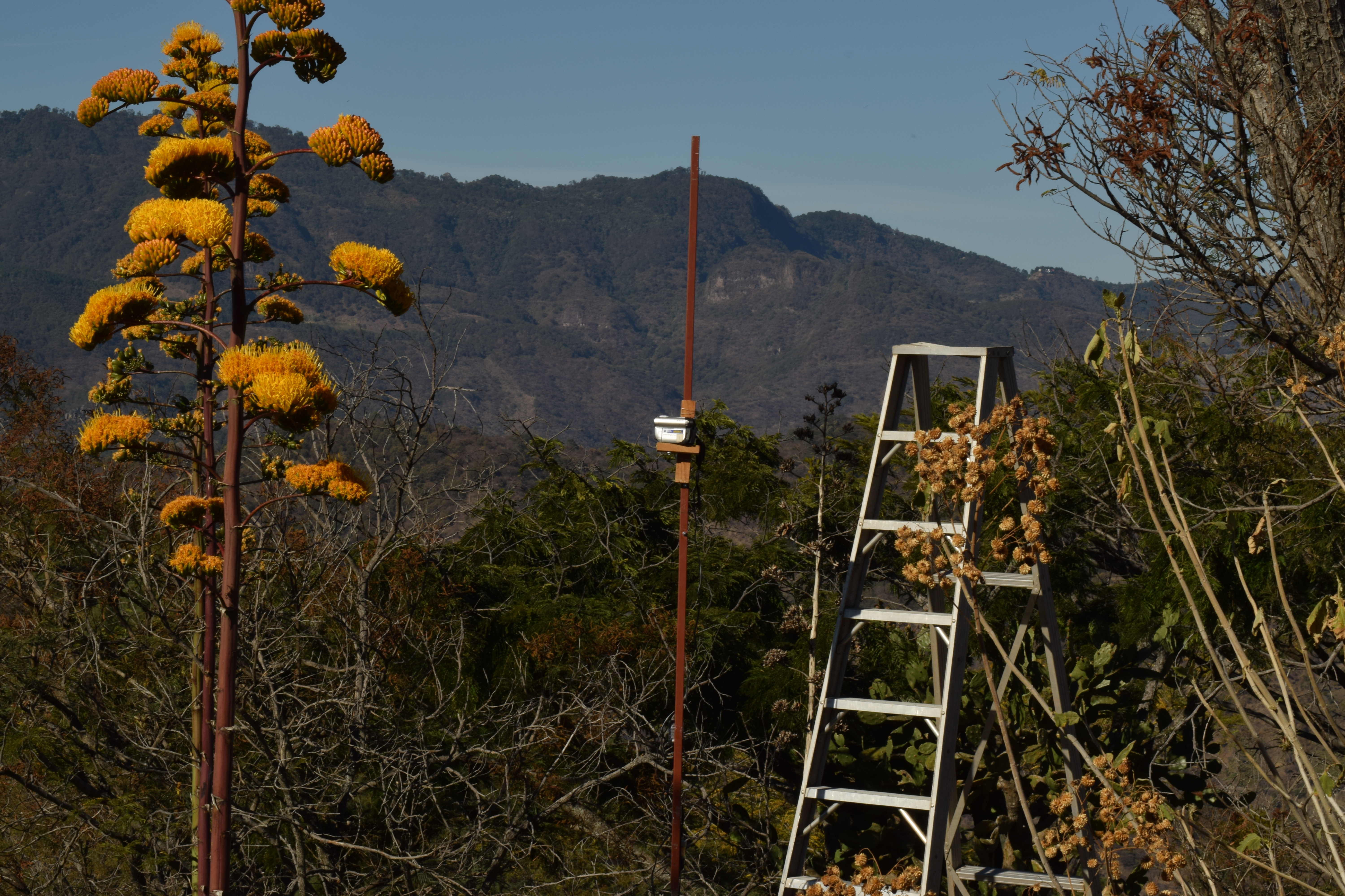 Imagen del Proyecto