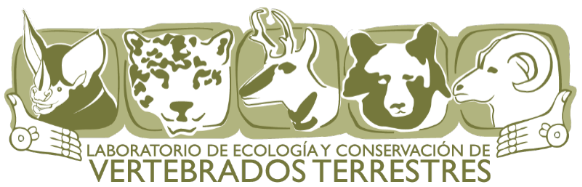 Logo del LECVT