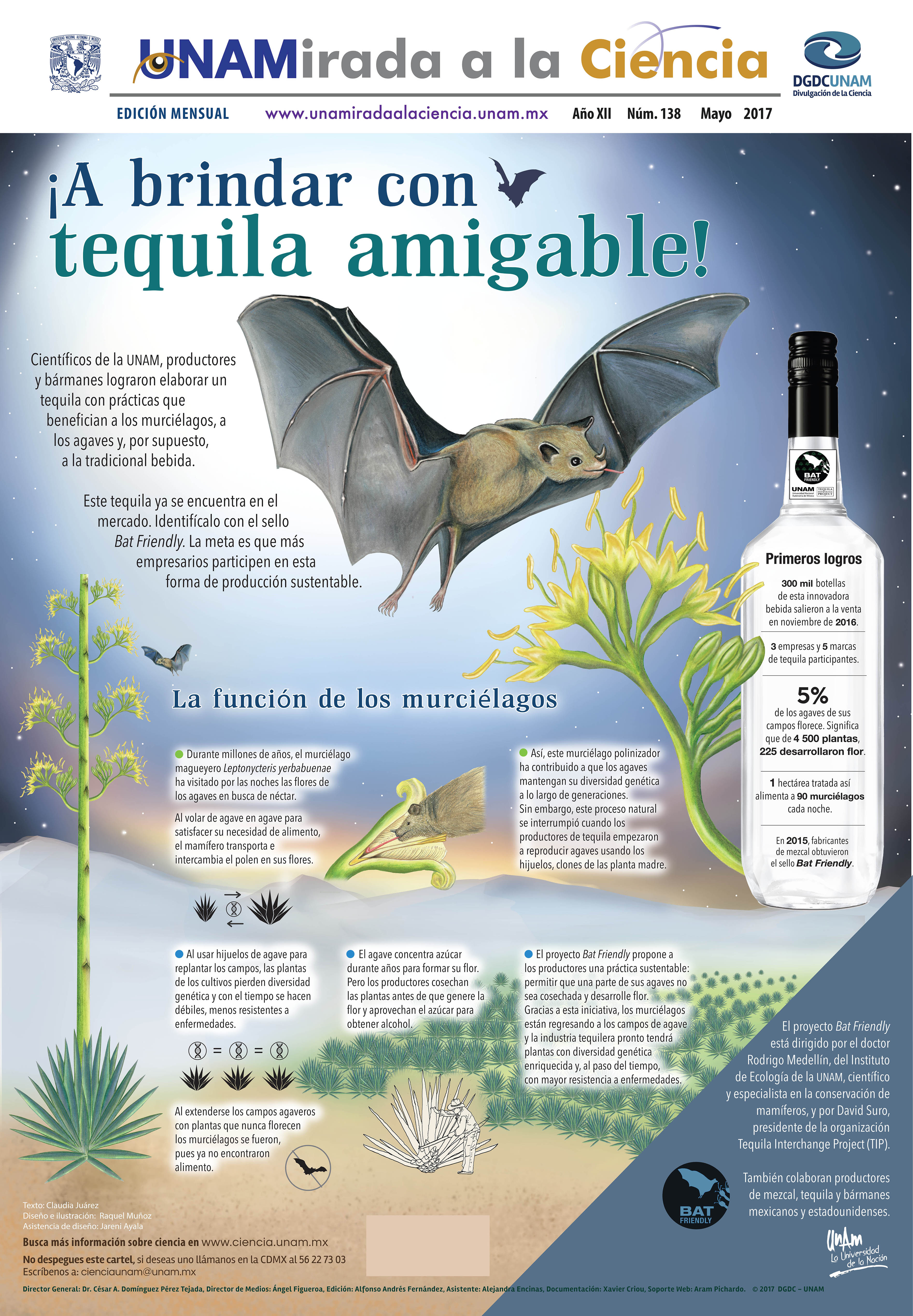 Infografía 