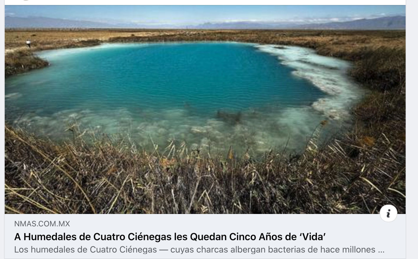 ¡Urge salvar a Cuatro Ciénegas! Se sigue perdiendo el agua