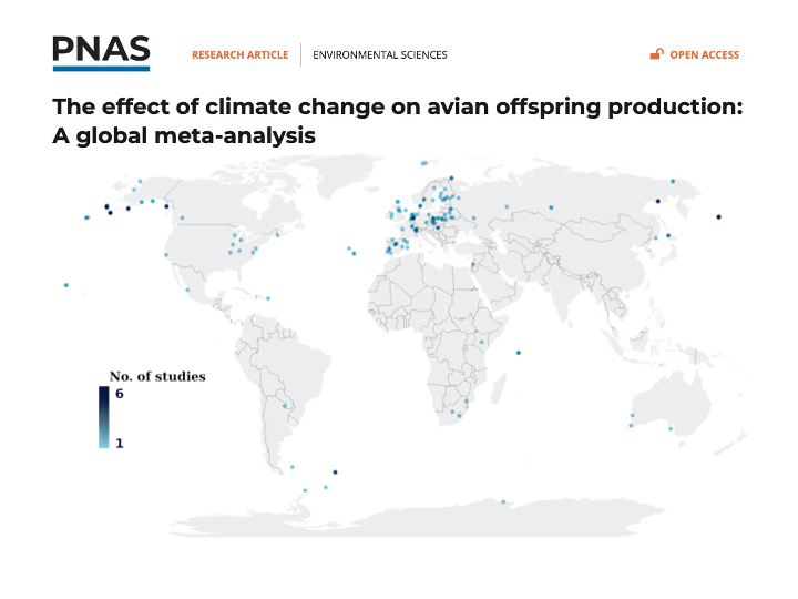 Estudios sobre cambio climático y su efecto en la reproducción de aves