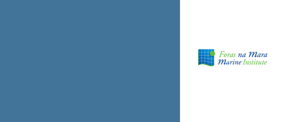 Marine Institute Research for Policy Awards - Pilot Call 2025