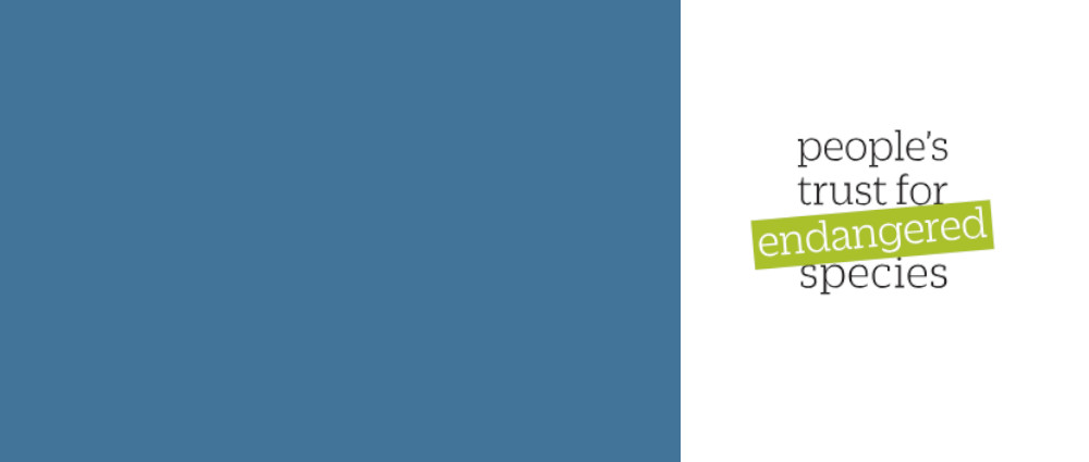 Apply for PTES Conservation Insight Grant Prog