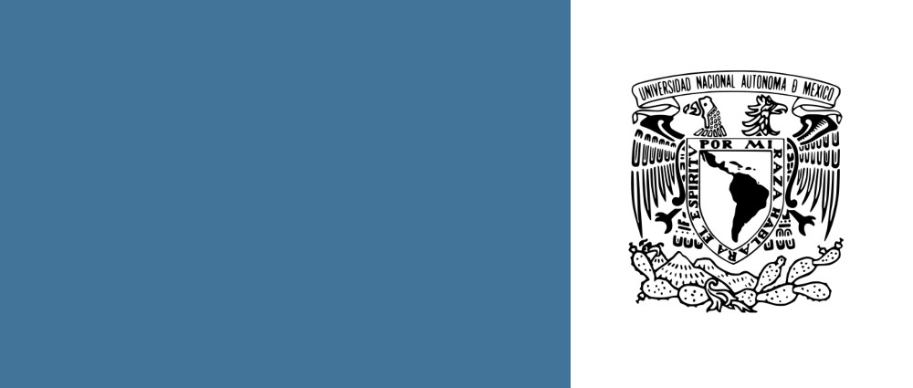 Convocatoria PAPIIT 2026