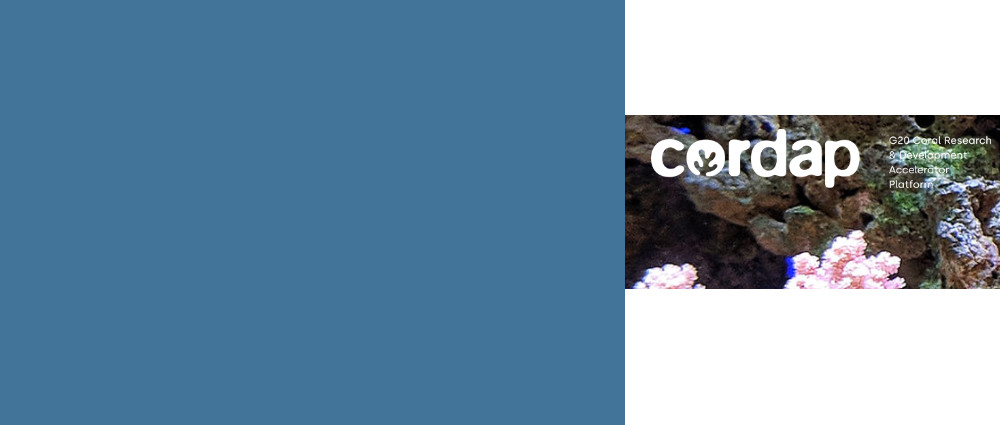 Coral Accelerator Program (CAP)