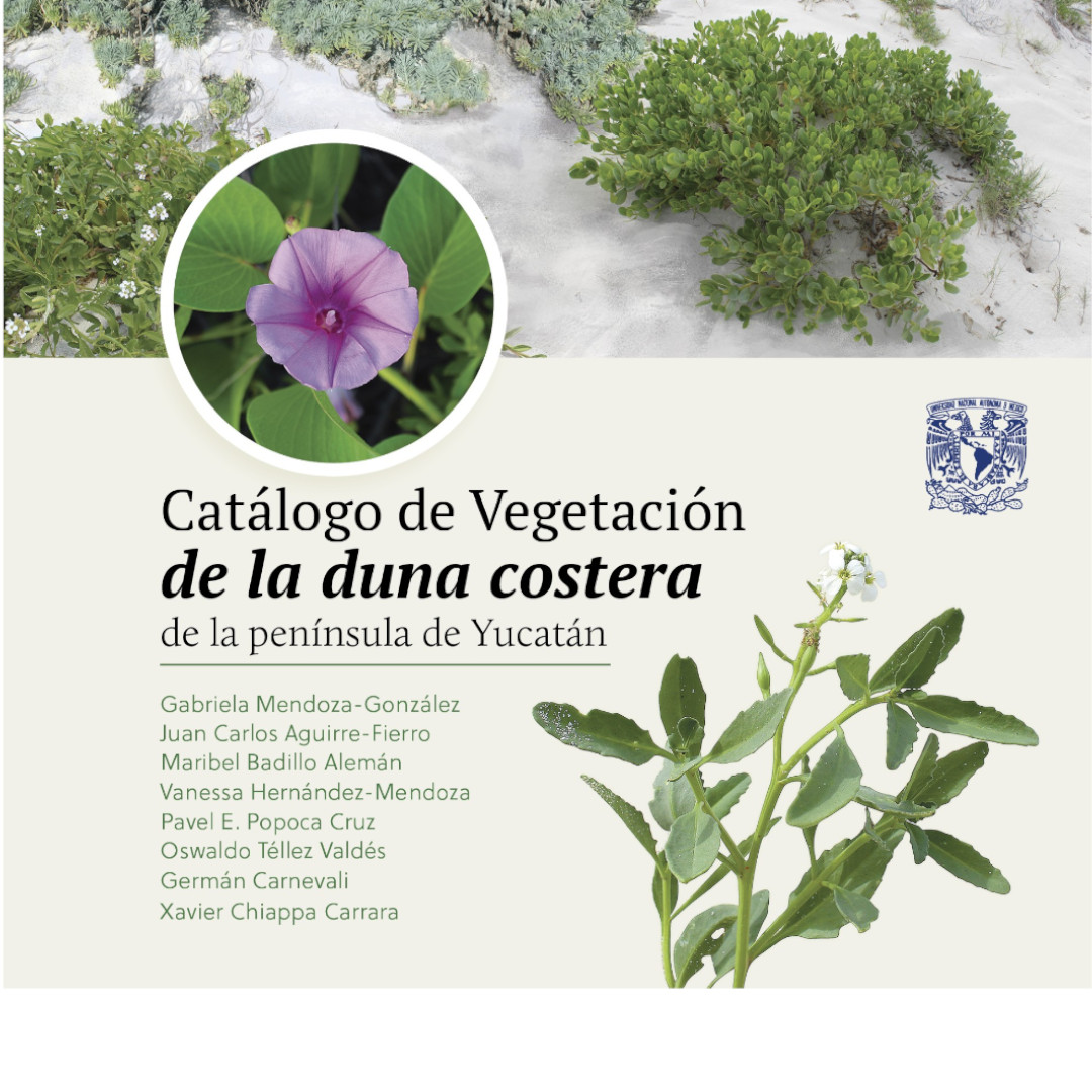 Nueva publicación: Catálogo de la vegetación de la duna costera de la Península de Yucatán