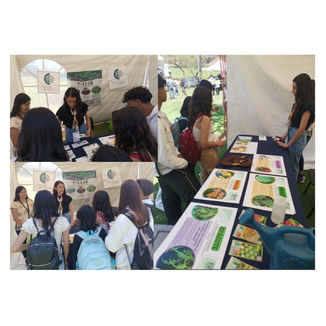 Arrancó la participación del instituto en el festival por la Tierra en la ENCiT