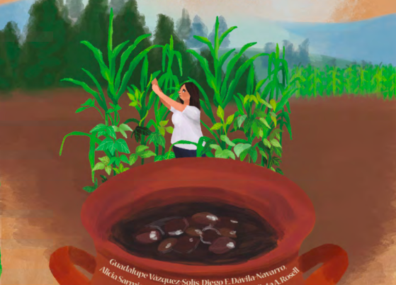 Del campo a la olla: los frijoles de Vicente Guerrero