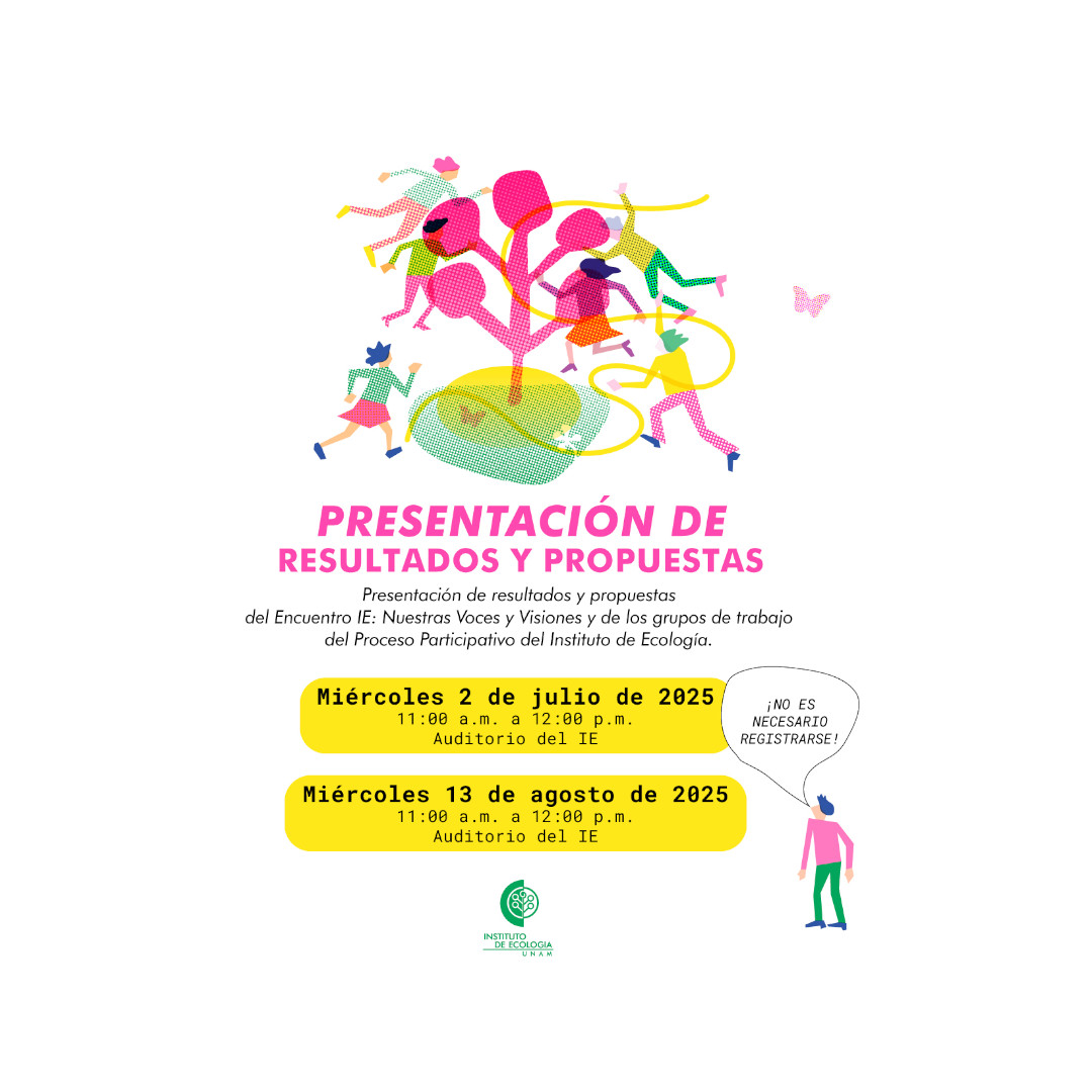 Presentación de Resultados y Propuestas del Proceso Participativo IE 