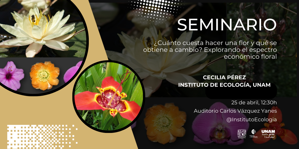 Seminario