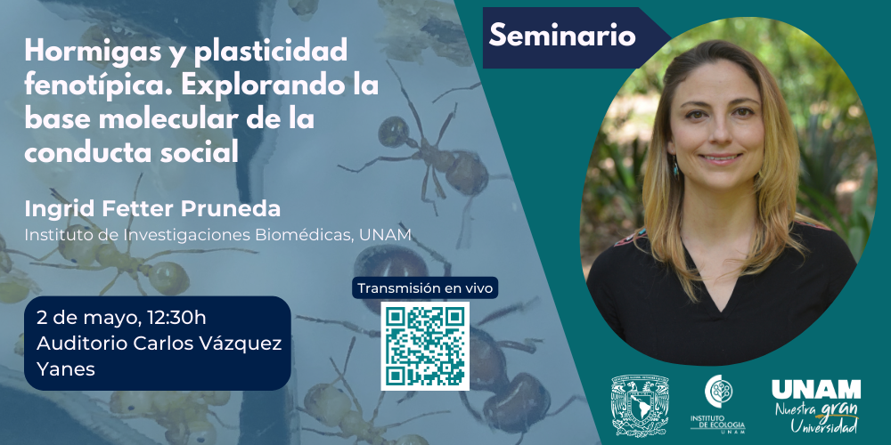 Seminario